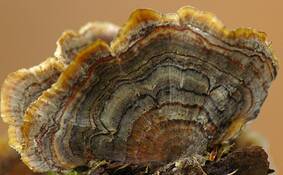 Untitled 2 by Christiena Hasapes