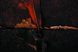 Extinguisher by Cynthia L. Chang