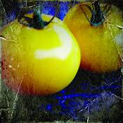 Still Life With Tomato by Dan Richard Barber