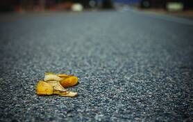 Mario Kart by Shanna Mae Swanson