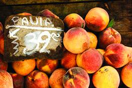 Uruguayan Peaches by Shanna Mae Swanson
