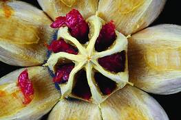 Gone Astray by Simone Reddingius