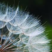 Untitled by Steve Burkett