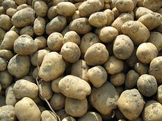 Potatoes by Virginia S. Metevia