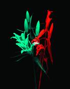 Untitled 1 by You Hyun Chung