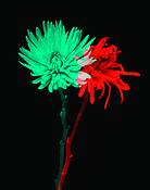 Untitled 2 by You Hyun Chung