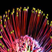 Untitled 3 by Peter Madero III