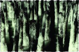 Breakwater by Robert Steffen