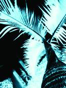 Concurrence by LeeAnne Mallonee