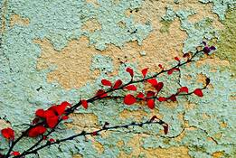 Novmber Design III by Les Berkley