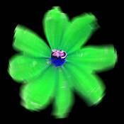 Pink Bee by Mary Woodman