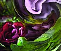 Untitled 5 by Milicska Jalbert