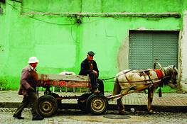 International by Joseph Roybal