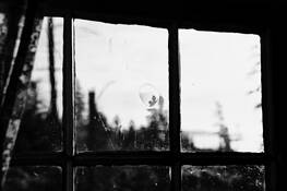 Inside by Patricia Sheley