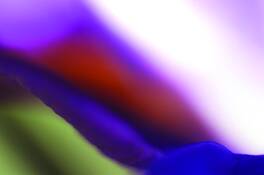 Untitled 1 by Carlyle Thompson