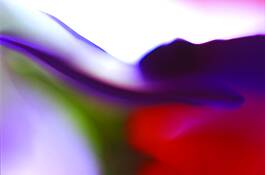 Untitled 2 by Carlyle Thompson