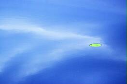 Drifting N Clouds by Harry L. Taplin