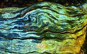 Old Wood 3 by Richard Tucker