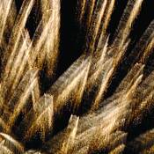 Pointed Light by Susan B. Griffith