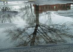 Rain Picture by Susan B. Griffith