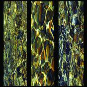 Rocks and Water by Susan B. Griffith