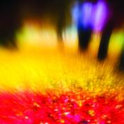 Chakra Light by Joanne Scherf