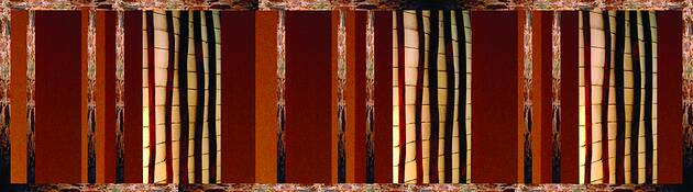 Amapa Wood by Joy Hamilton