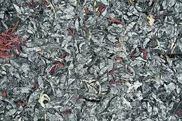 Leaves by Lee Grossman