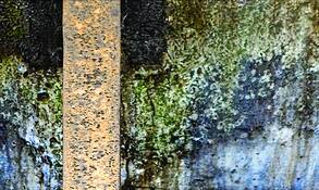 Surface by Lee Grossman