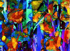 Floraganza by Mary Phipps-Seward