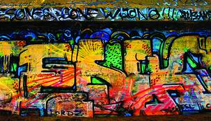 Lordz by Mary Phipps-Seward