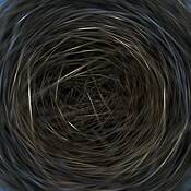 Nest by Mary Woodman