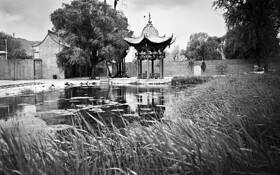 Mosque by Cory Zaradur