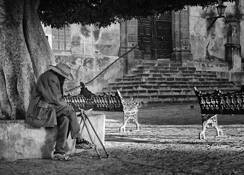 El Parque by Daniel Bowman Ashe