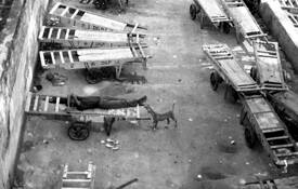 Lazy Afternoon by Hang Zhang