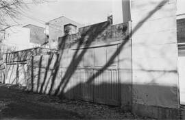 Linear Tree Curtain by Boros Gabor