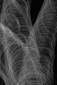 Vortex by William L. Witmer