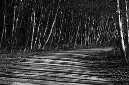 Usal Road by Baldur Tryggvason