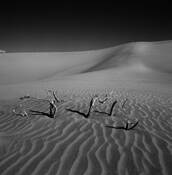 Desert Sky 1 by Charles J. Hyland