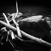 Debris by Darryl Godfrey