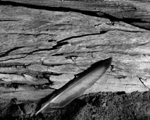 To the Beach 9 by Susan B. Griffith