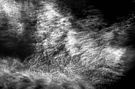 Clouds #5 by Robert Hopkins