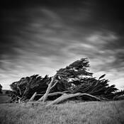 New Zealand by Olivier Borson