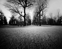 Path Though the Trees by Ina Forstinger & Gerald Berghammer
