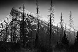 Mount Rundle by Emmanuel Coupe