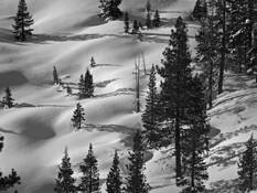 Winter Snow by Gary Wagner