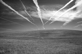 5 Untitled by David Nanni