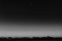 Untitled 6 by Dean Fikar