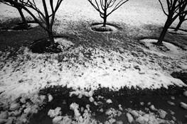 Circles by Eduardo Bermudez
