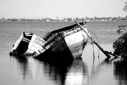 Shipwrecked by William Acosta